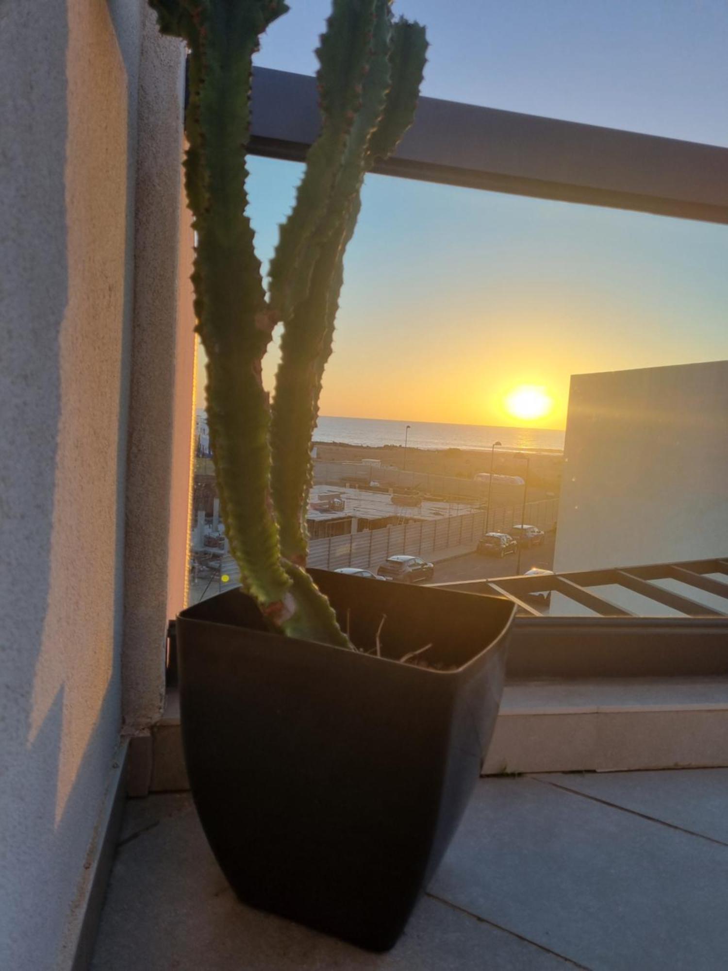 Azotea De Cotillo מראה חיצוני תמונה